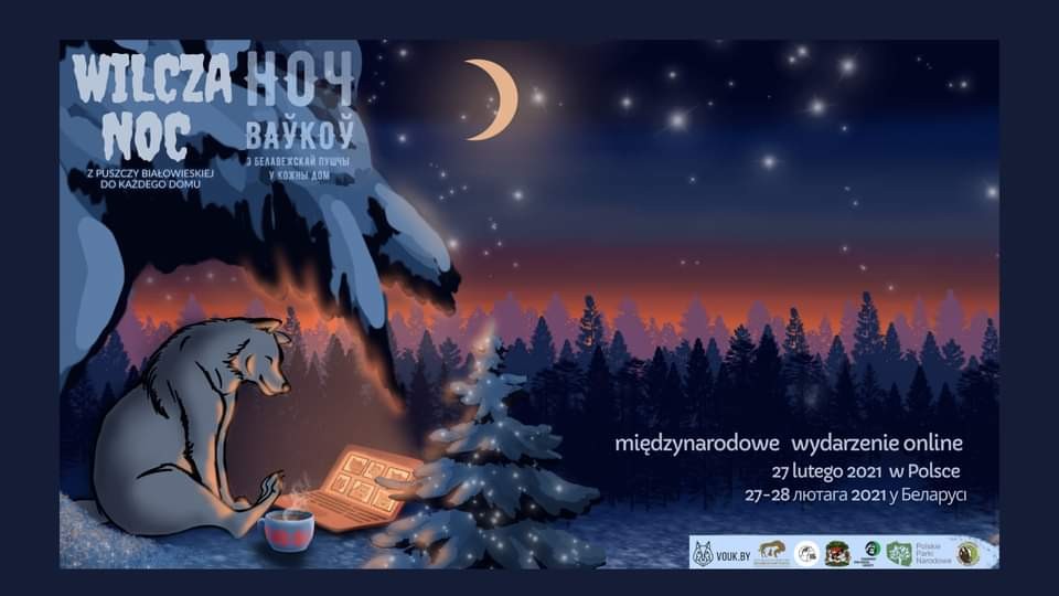 Wilcza Noc - wilk siedzi pod ośnieżonym drzewem w tle księżyc